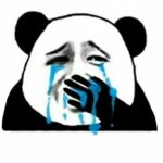 Hình ảnh meme gấu trúc khóc tội mà kỳ