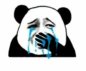 Hình ảnh meme gấu trúc khóc tội mà kỳ