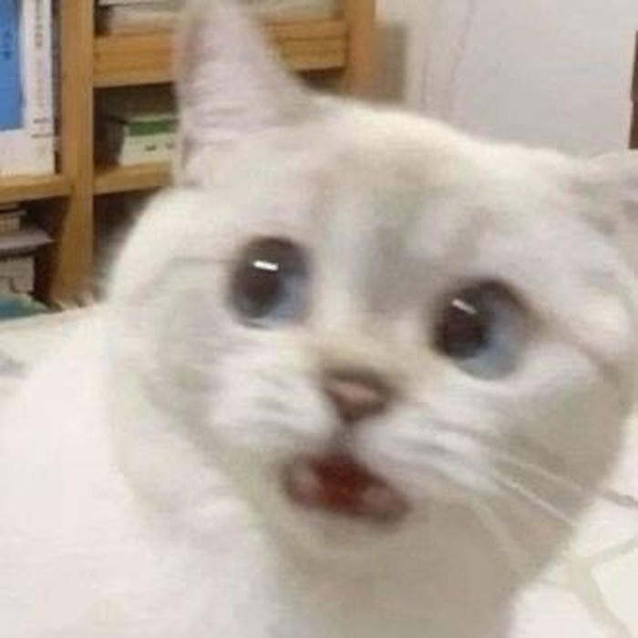 Hình meme hốt hoảng lúc ai đó tới