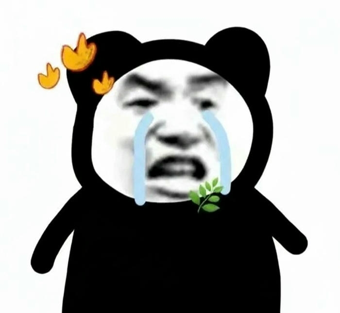 Meme gấu trúc khóc buồn mà không nghiêm