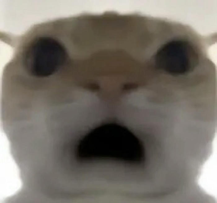 Meme hốt hoảng phản ứng trong tích tắc