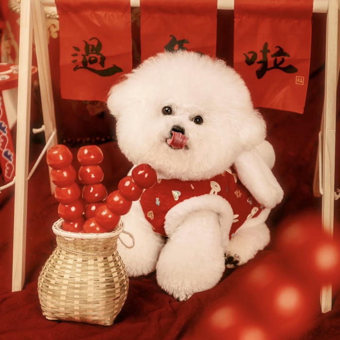 ảnh đại diện con chó dễ thương đón tết