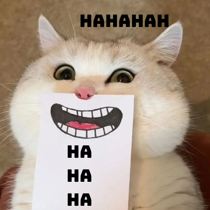 ảnh meme haha