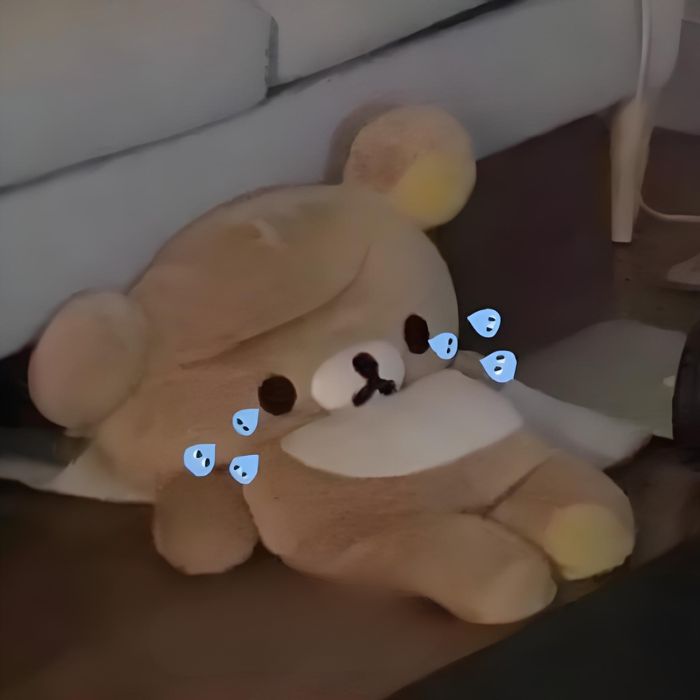 ảnh meme siêu sad