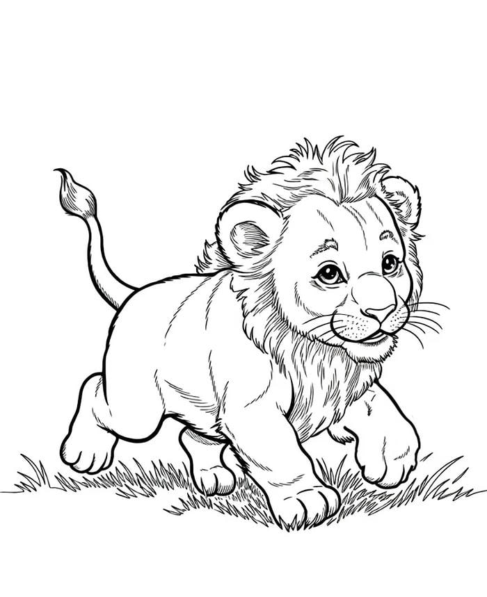 bản sư tử nét to phù hợp mẫu giáo