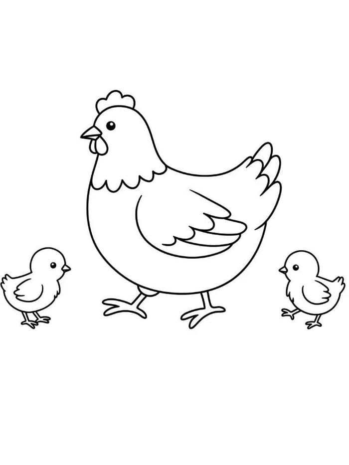 bản vẽ gà mái hoạt hình trẻ tô