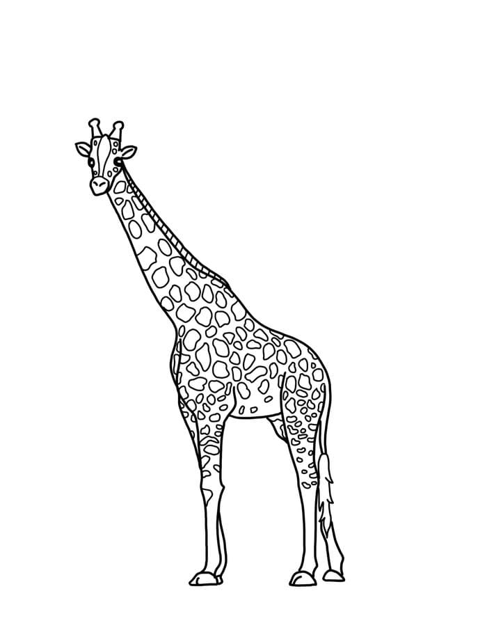 bản vẽ hươu cao cổ đen trắng thiếu nhi