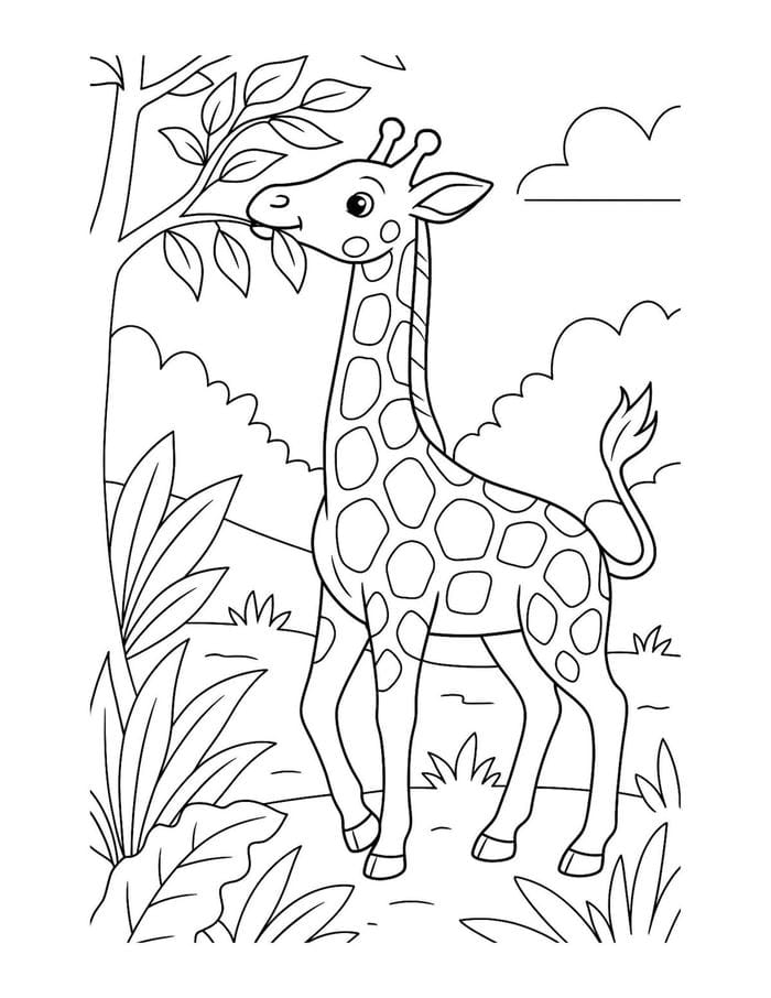 bản vẽ hươu cao cổ hợp thiếu nhi