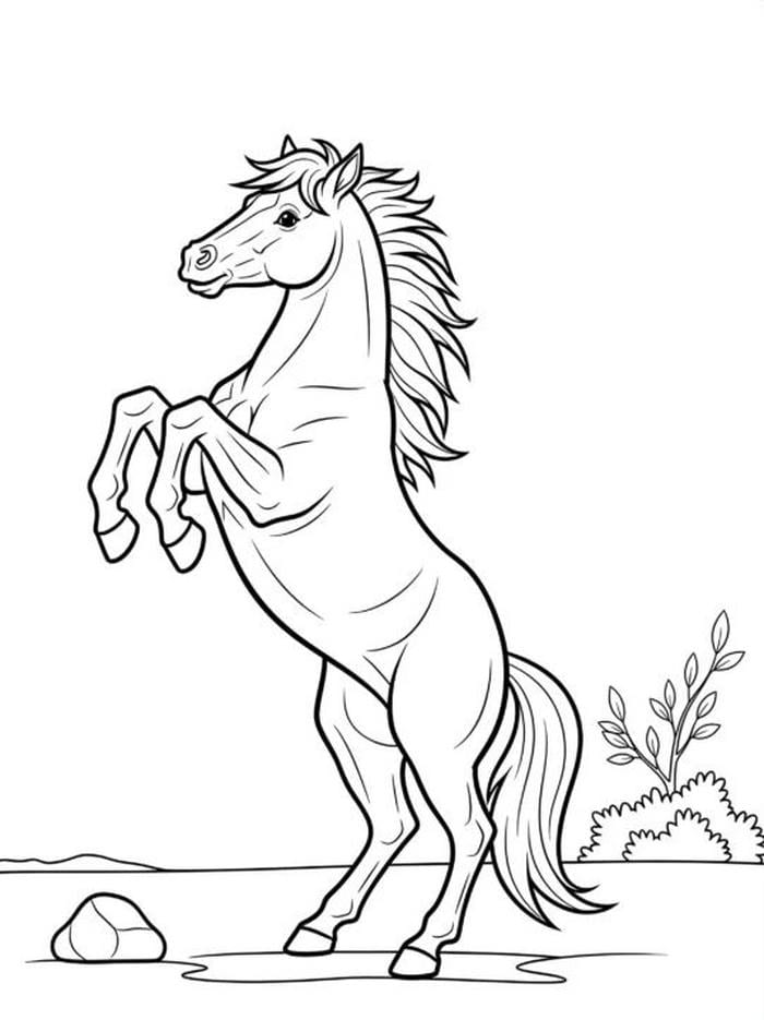 bản vẽ ngựa nét đậm dễ tô