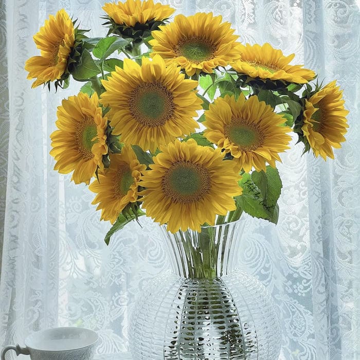 hình đại diện hoa hướng dương tối giản