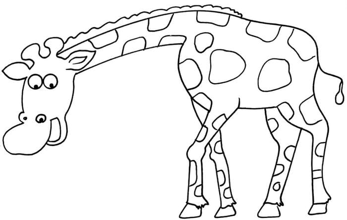hình hươu cao cổ không màu cho bé thực hành
