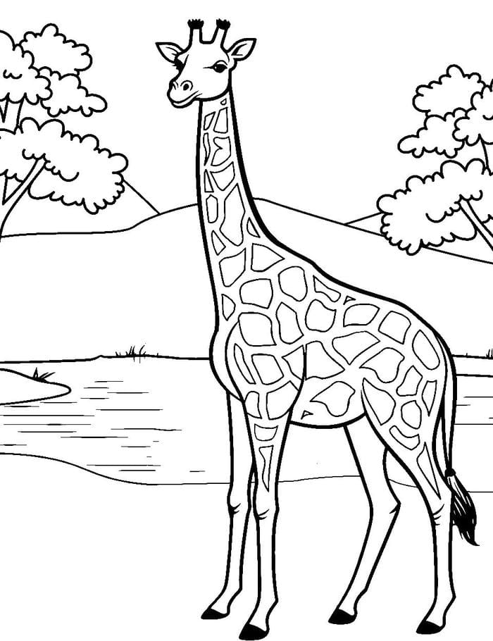 hình hươu cao cổ luyện nét cho trẻ