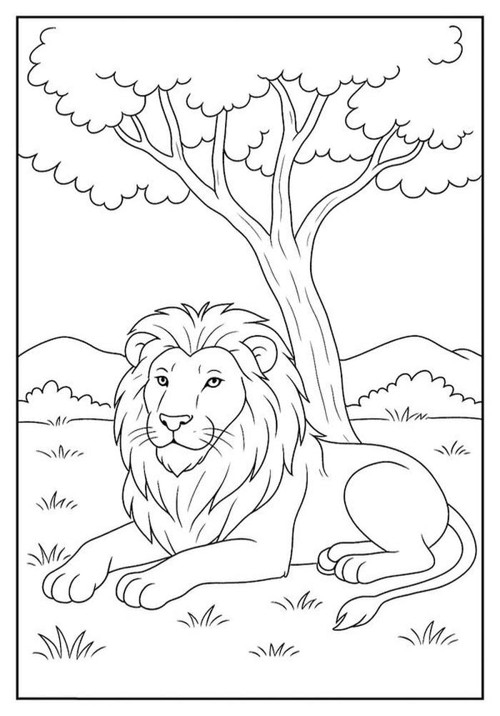 hình sư tử thiếu nhi tập tô