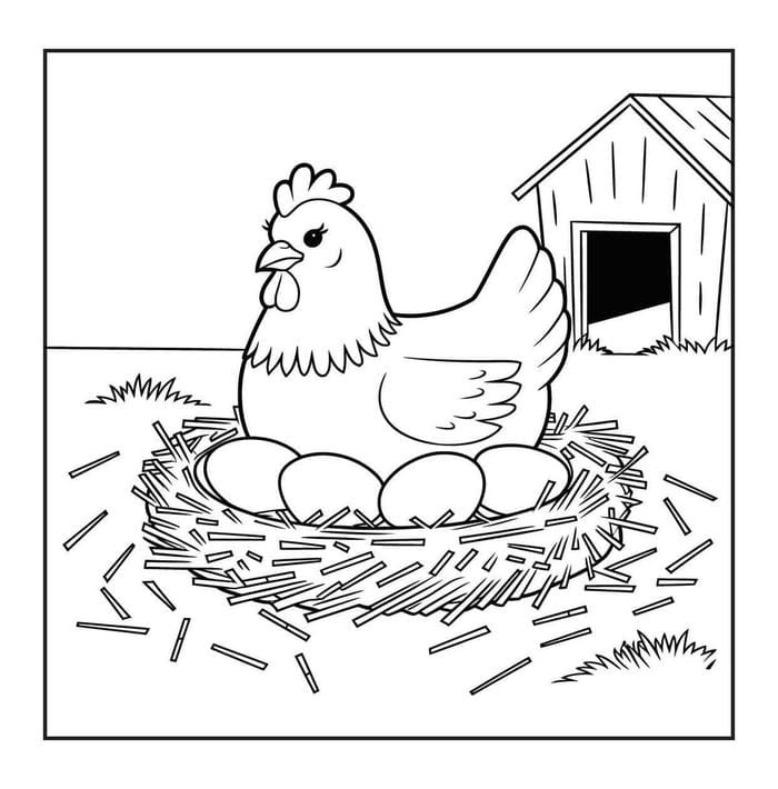 mẫu gà mái tô màu phù hợp thiếu nhi