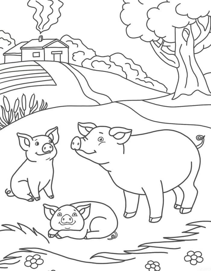 mẫu heo dành cho bé sáng tạo