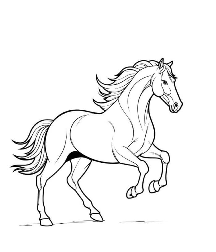 mẫu ngựa trắng đen dễ nhận biết