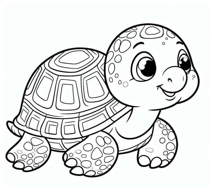 mẫu tô màu rùa nét nhẹ