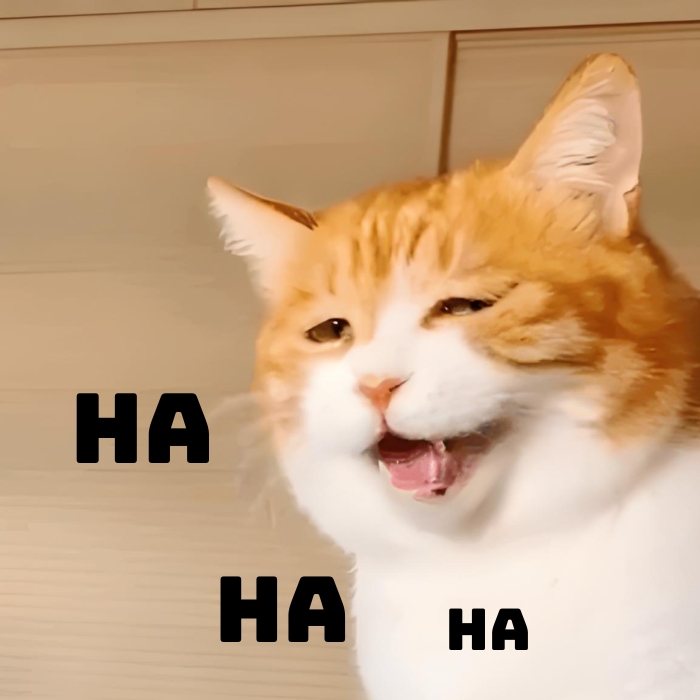 meme haha mặt cười lầy lội