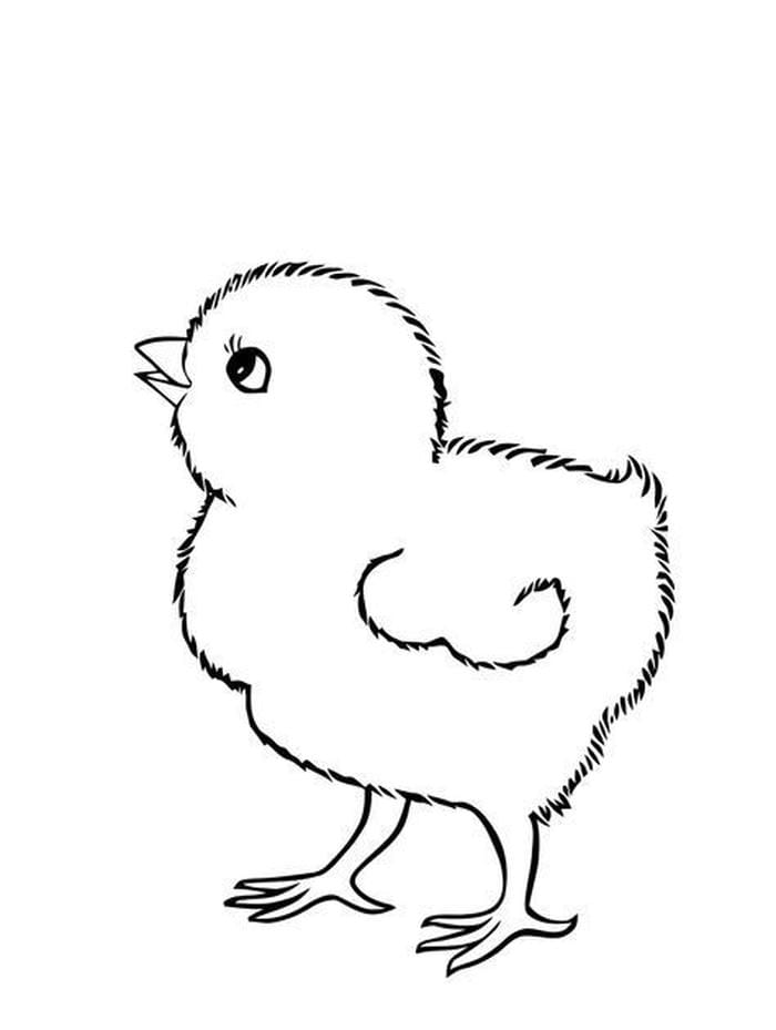 tô màu gà con dễ thương sáng tạo