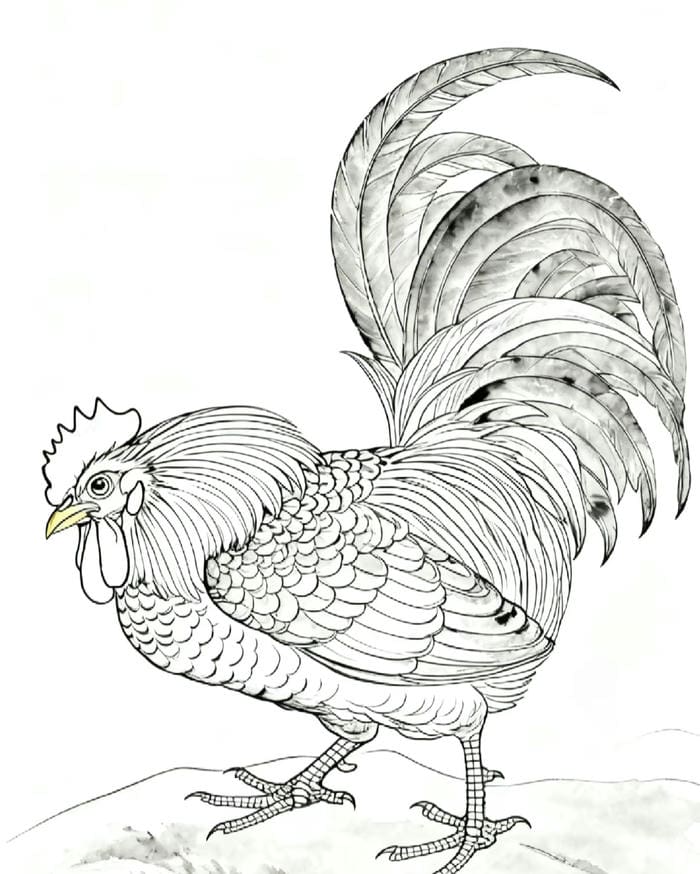 tranh tô màu gà trống đơn giản