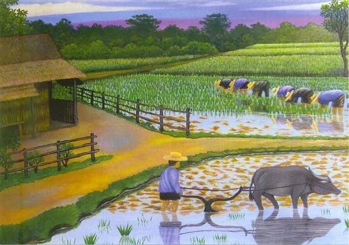 tranh vẽ quê hương với cánh đồng lúa