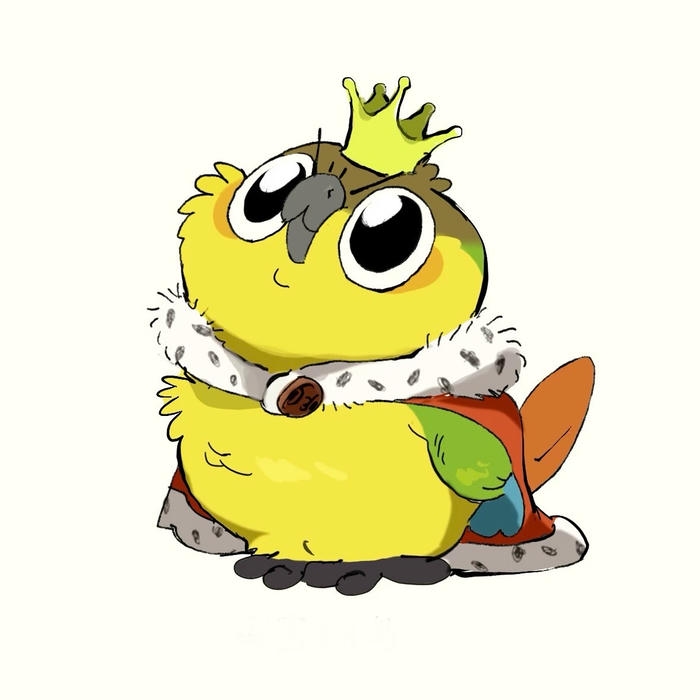 Ảnh chim chibi hình ảnh chim nhỏ cho sưu tầm