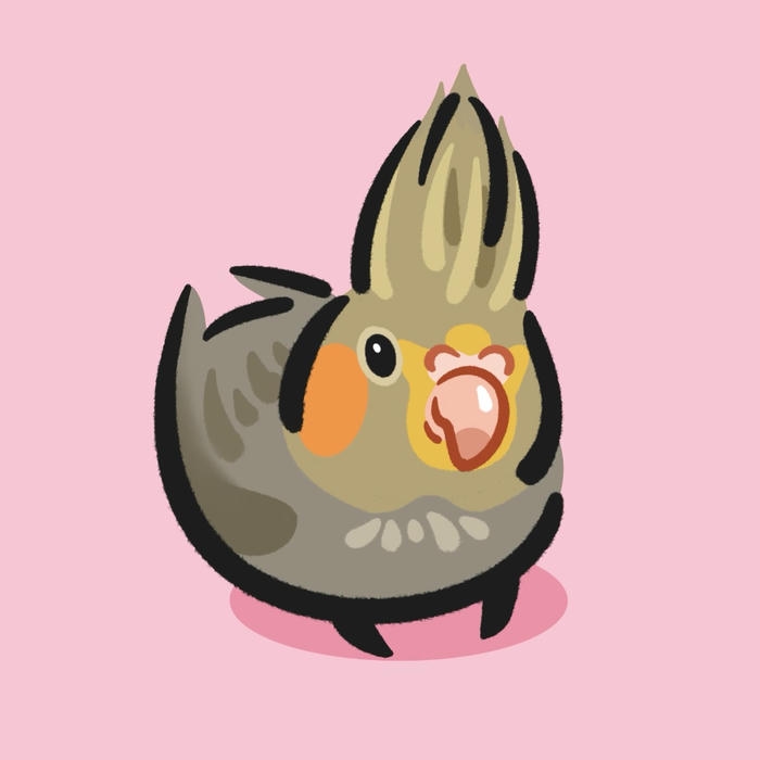 Ảnh chim chibi hình tượng chim non cho giải trí
