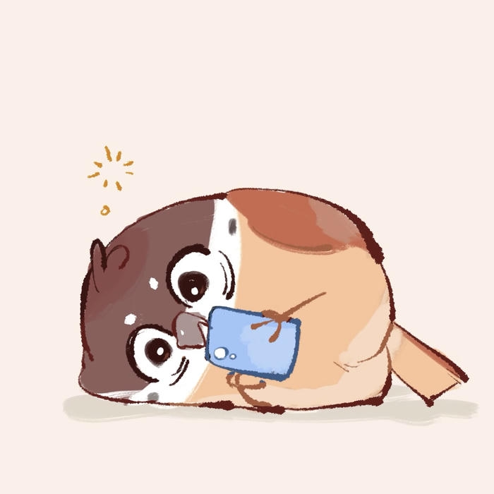 Hình ảnh chim chibi hình dáng chim bé nhỏ ôm điện thoại