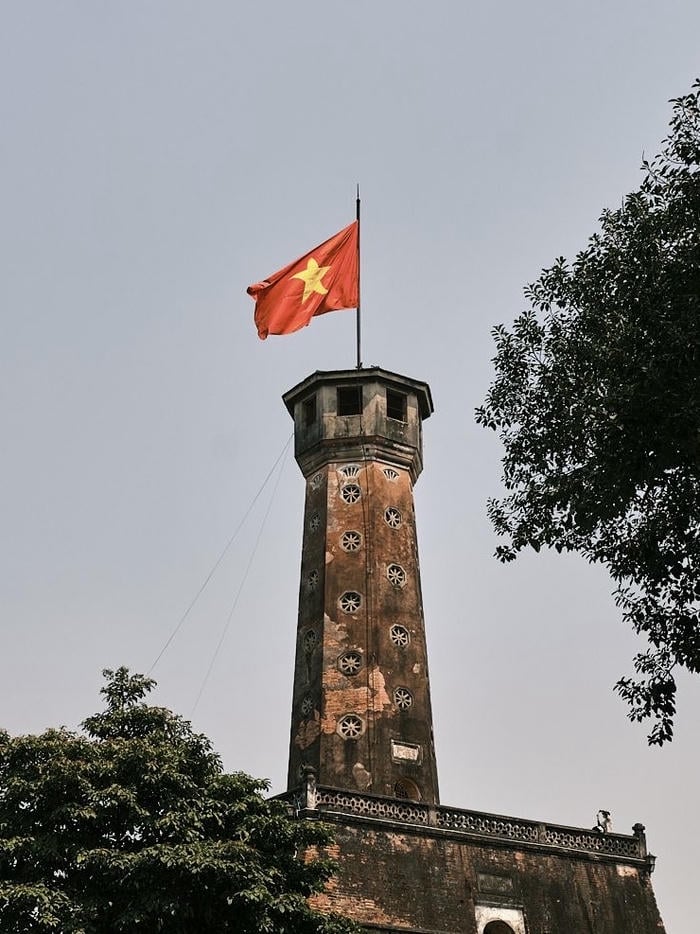 ảnh avatar quốc kỳ việt nam biểu tượng tự do