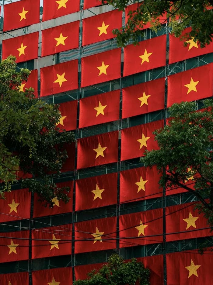 ảnh đại diện cờ việt nam đơn giản mà đẹp