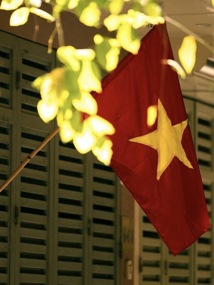 ảnh đại diện cờ việt nam lấp lánh sắc đỏ