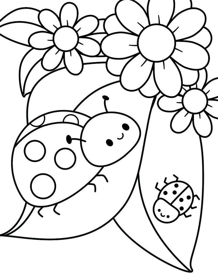 ảnh tranh tô màu bọ rùa côn trùng nhỏ