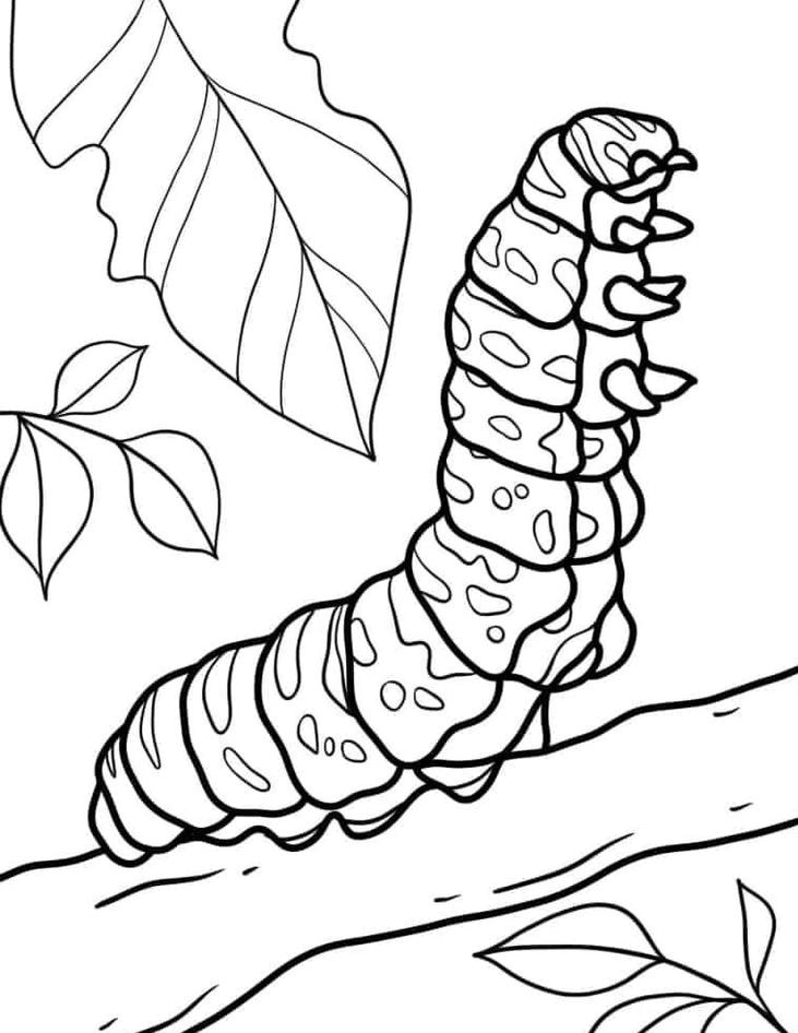 ảnh tranh tô màu con sâu cho trẻ