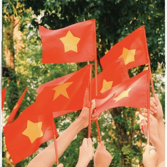 189+ Avatar Quốc Kỳ Hình Nền Cờ Việt Nam Đẹp Trang Nghiêm