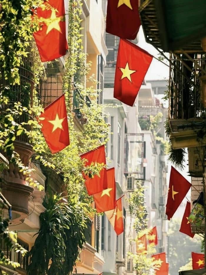 avatar quốc kỳ cờ việt nam nền đỏ rực sáng