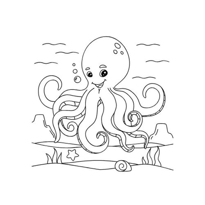 bé vui học cùng con bạch tuộc