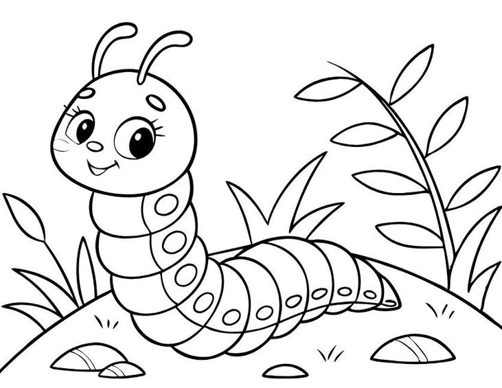 bức tranh tô màu con sâu hài hòa