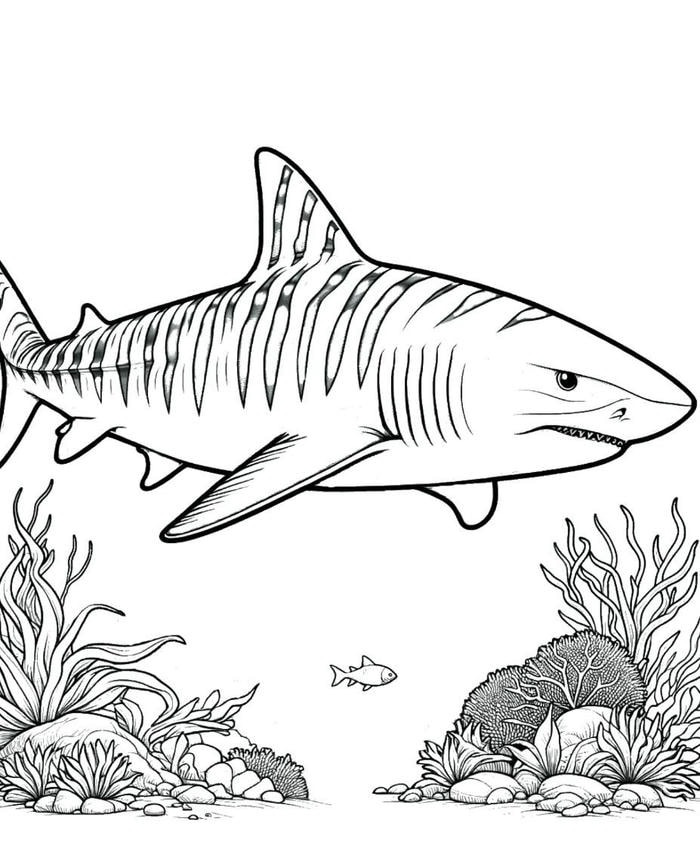 cá mập dễ vẽ cho bé