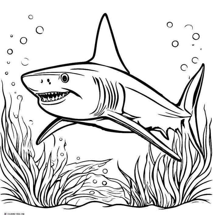 cá mập vui nhộn cho bé