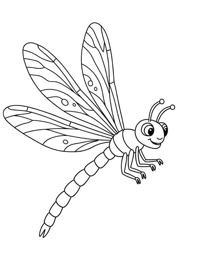 chuồn chuồn vui nhộn cho trẻ