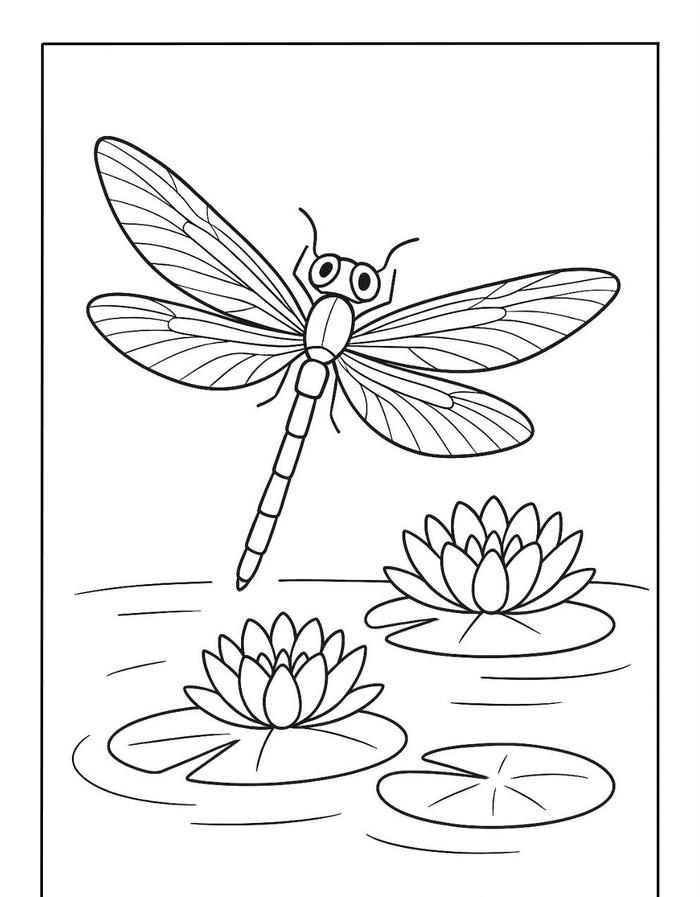 hình ảnh chuồn chuồn cho trẻ nhỏ