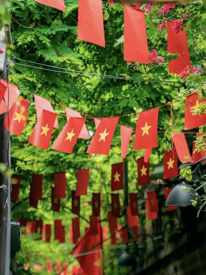 hình ảnh cờ việt nam màu sắc rực rỡ