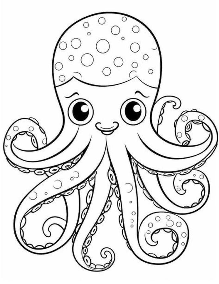 hình ảnh con bạch tuộc cho bé tô