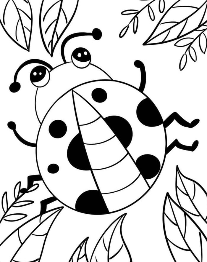 hình ảnh tô màu con bọ rùa sáu chân