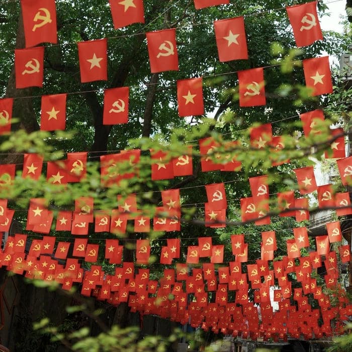 hình avatar quốc kỳ việt nam sắc đỏ