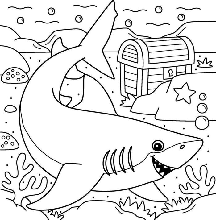 hình cá mập vui nhộn