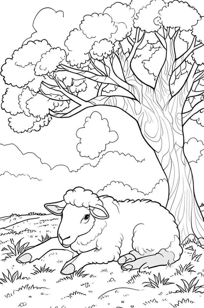 hình con cừu tranh tô màu thiếu nhi