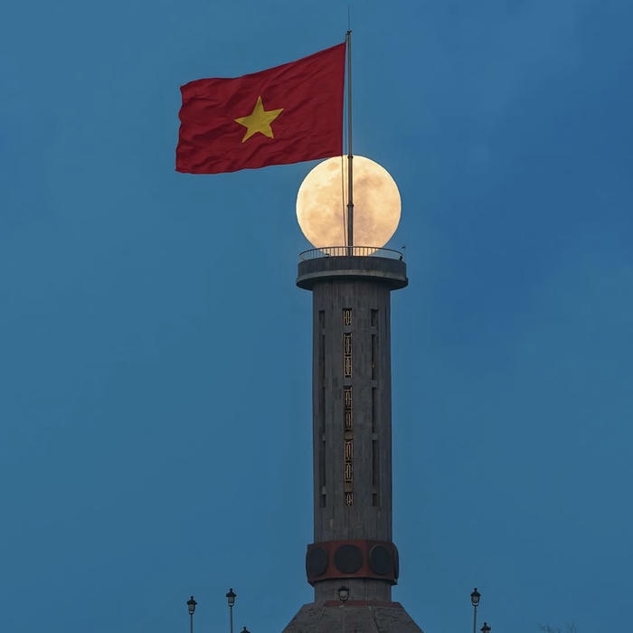 hình đại diện cờ việt nam cổ kính