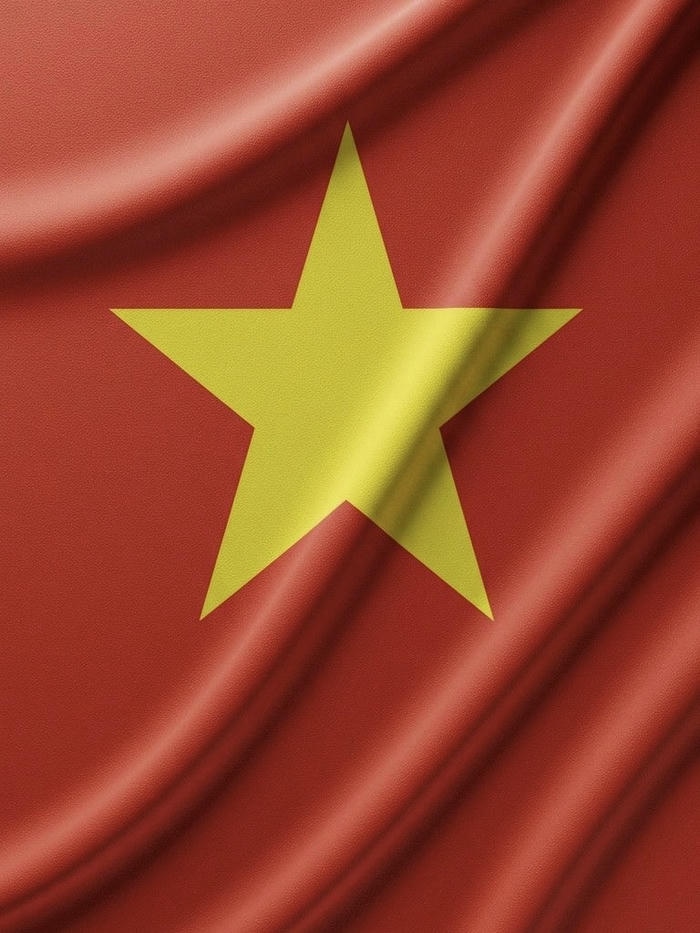 hình đại diện quốc kỳ cờ việt nam đẹp rực rỡ