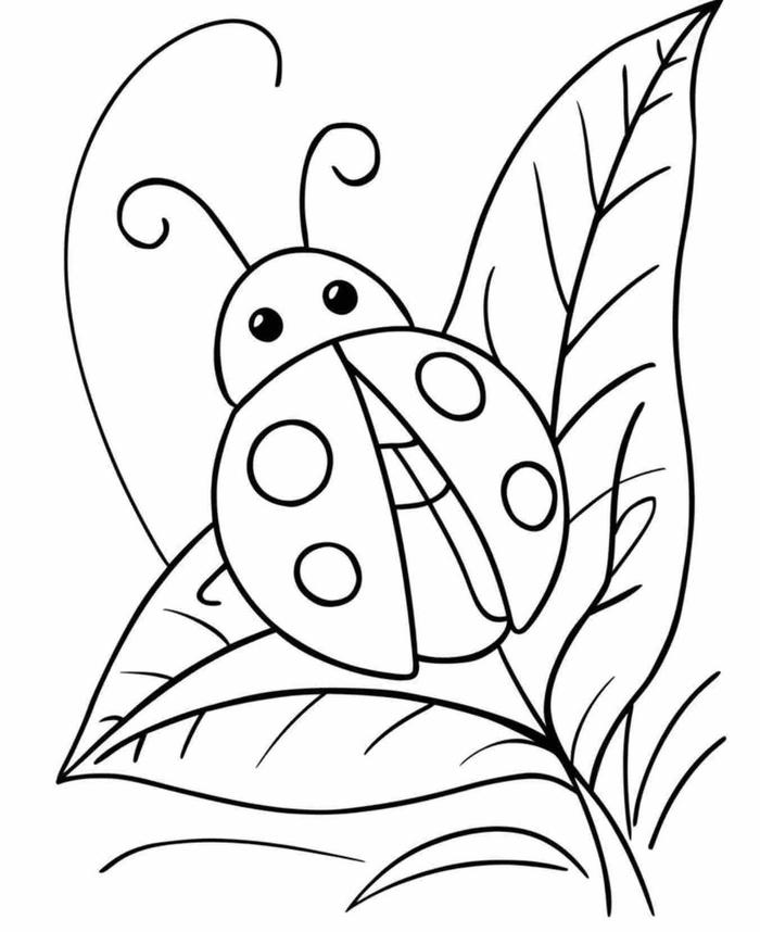 hình tô màu bọ rùa đậu trên lá xanh mướt